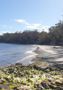Huon Valley Konseyi