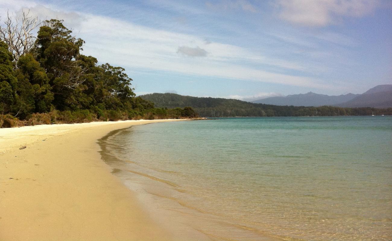 Planter Beach'in fotoğrafı parlak kum yüzey ile