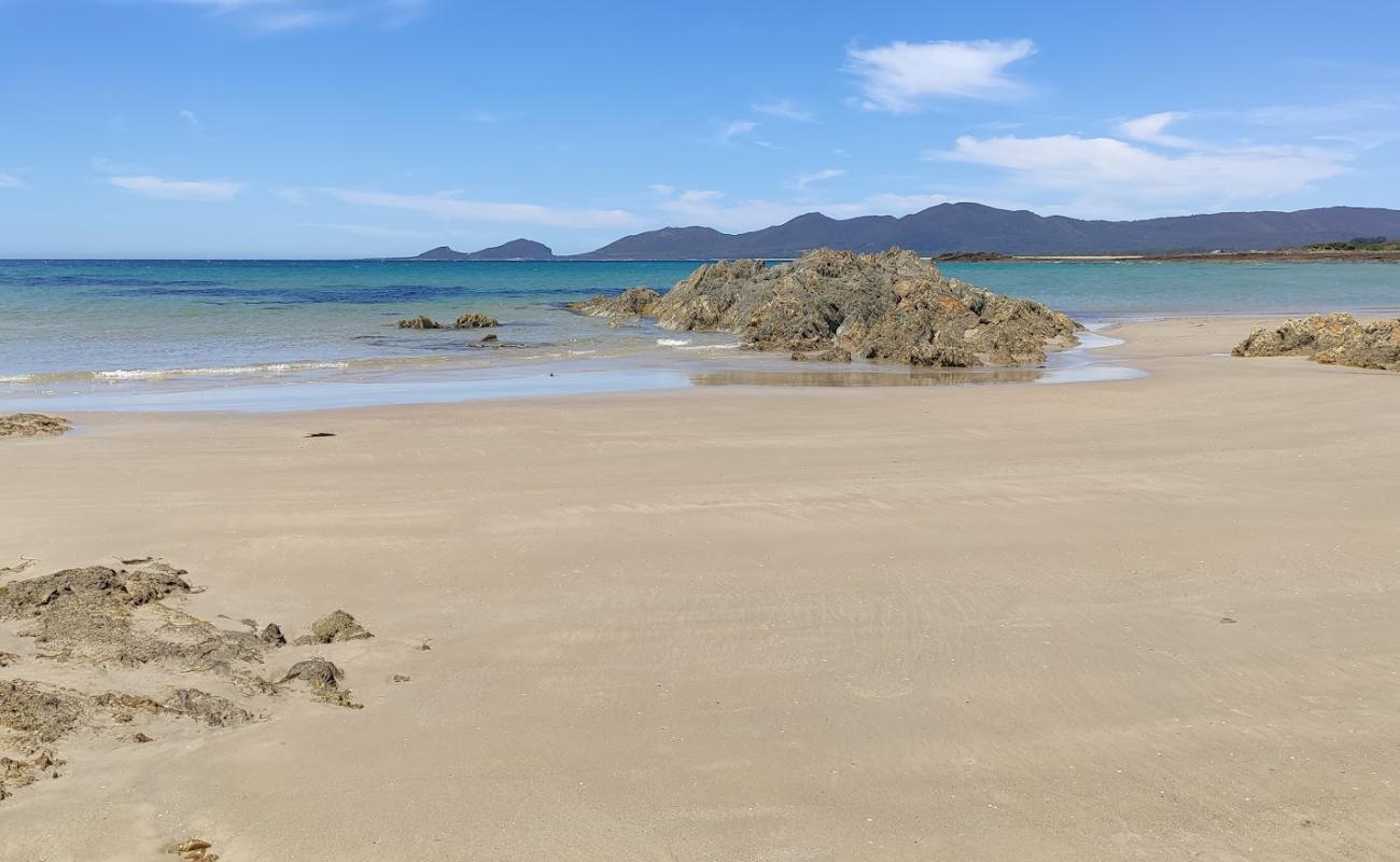 Edgcumbe Beach'in fotoğrafı parlak kum yüzey ile