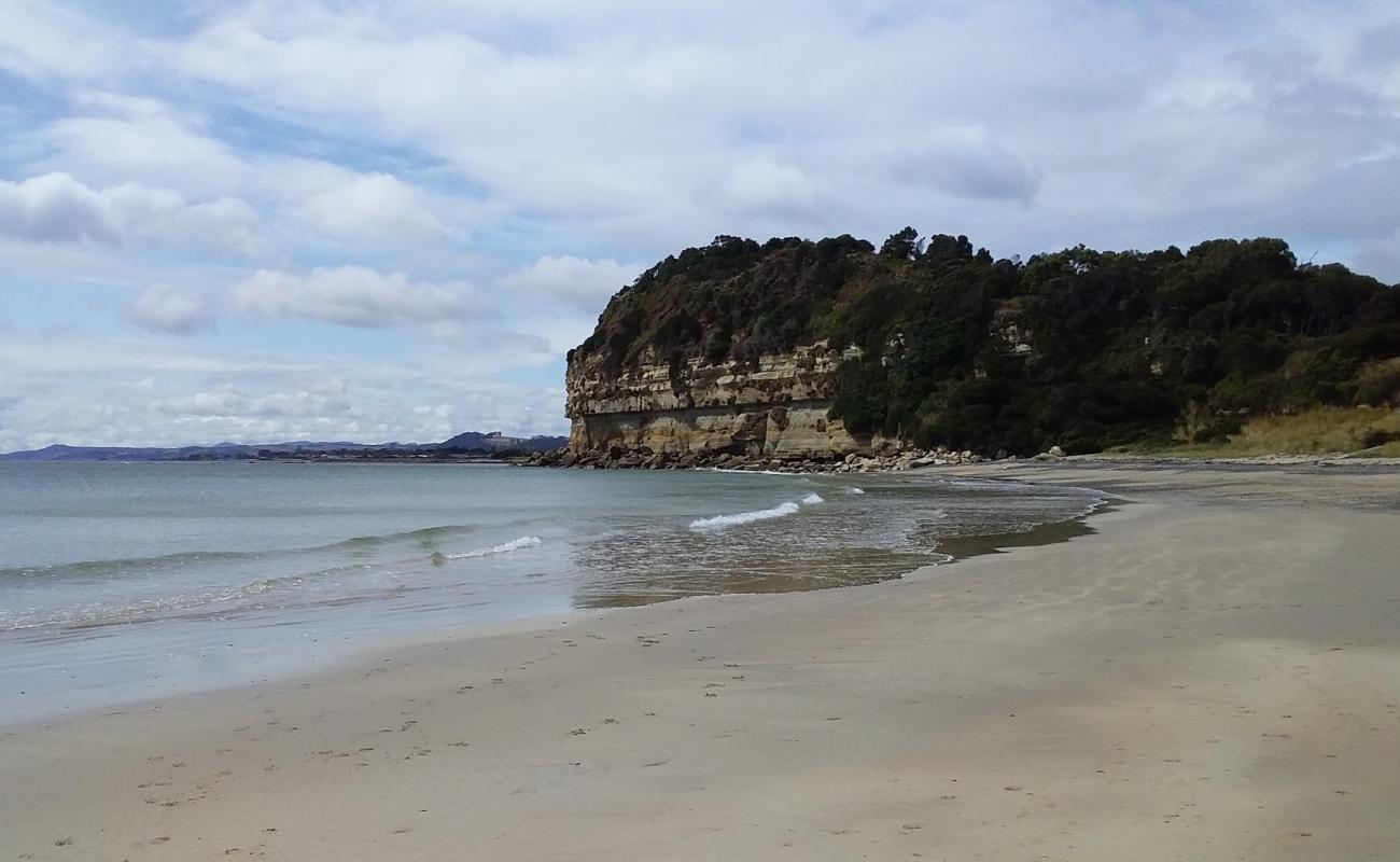 Fossil Bluff Beach'in fotoğrafı parlak kum ve kayalar yüzey ile