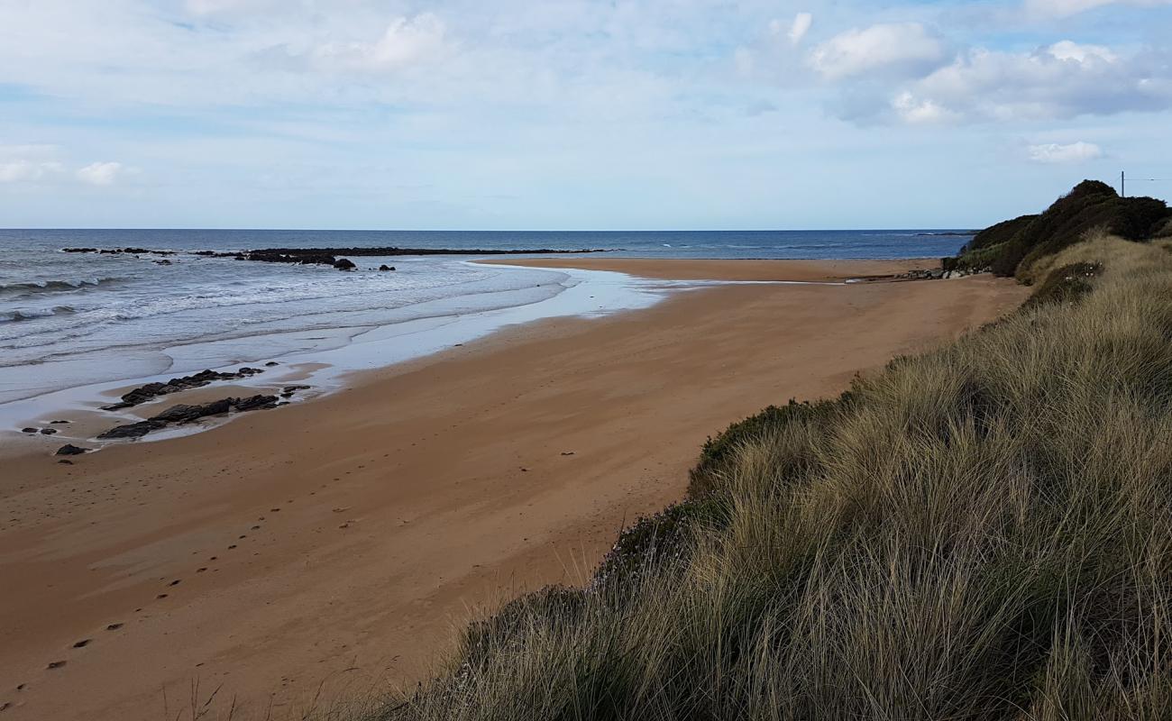 Cooee Beach'in fotoğrafı parlak kum yüzey ile