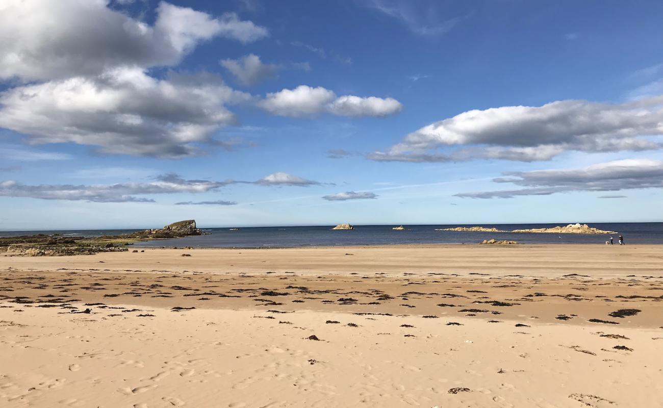 Picnic Point Beach'in fotoğrafı açık bej kum yüzey ile