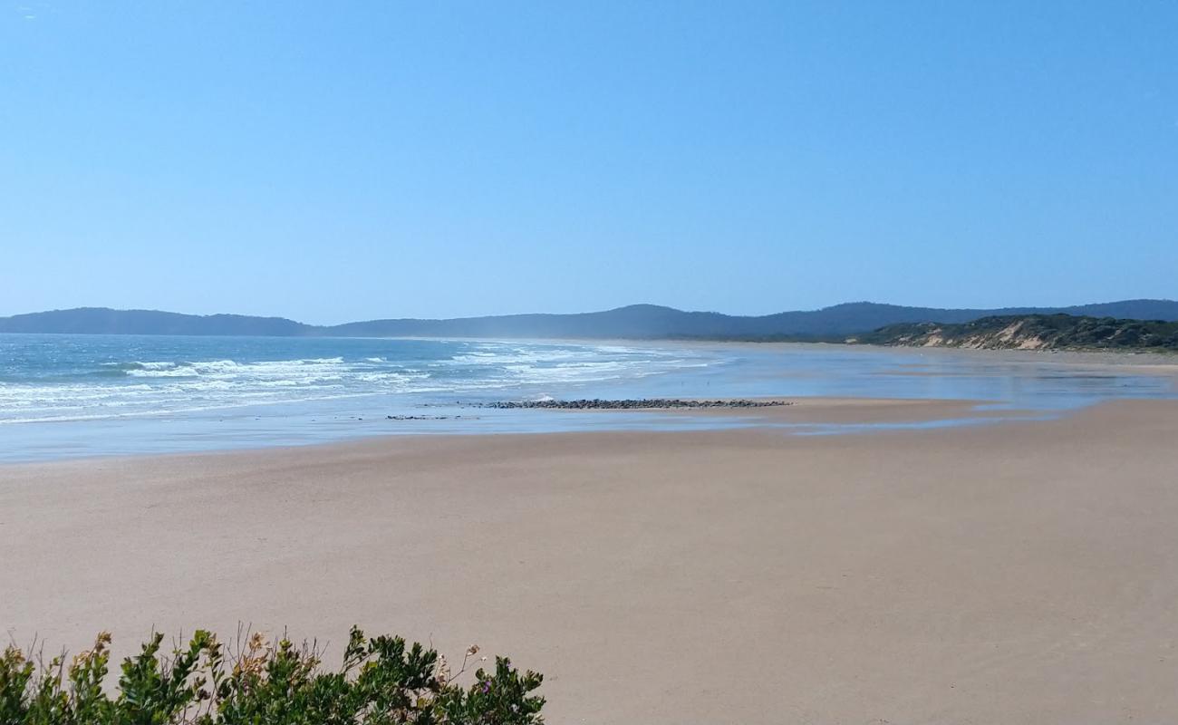 Badger Beach'in fotoğrafı açık bej kum yüzey ile