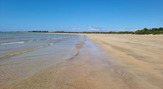 Greens Beach