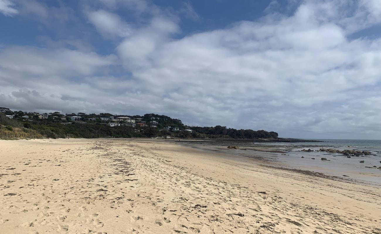 Weymouth Beach'in fotoğrafı açık bej kum yüzey ile
