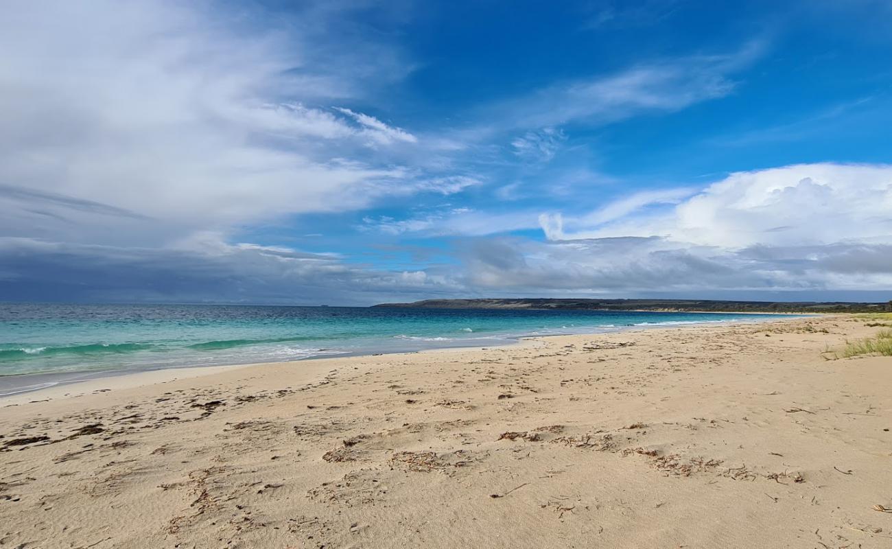 Antechamber Bay Beach'in fotoğrafı parlak kum yüzey ile