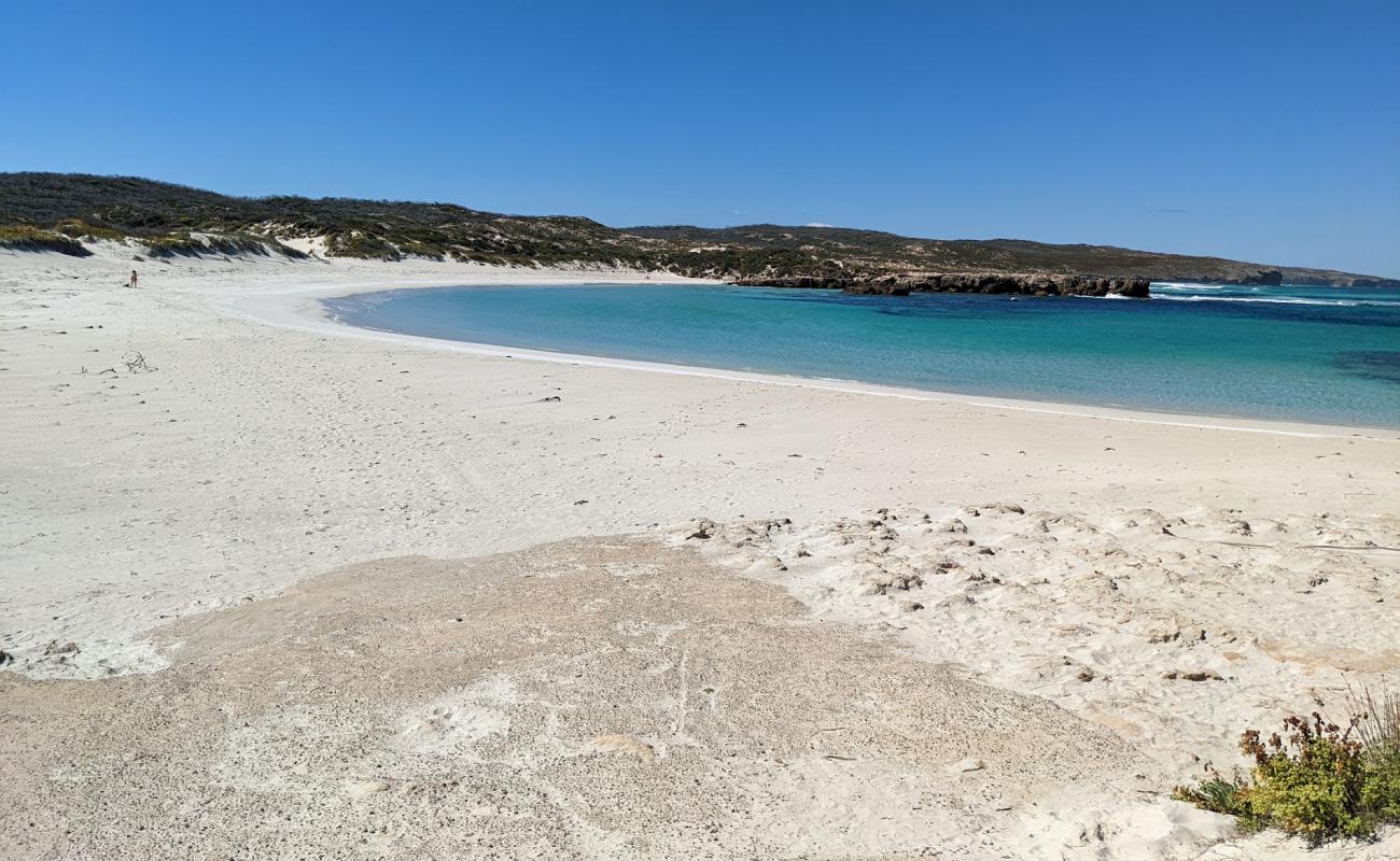 Hanson Bay Beach'in fotoğrafı parlak kum yüzey ile