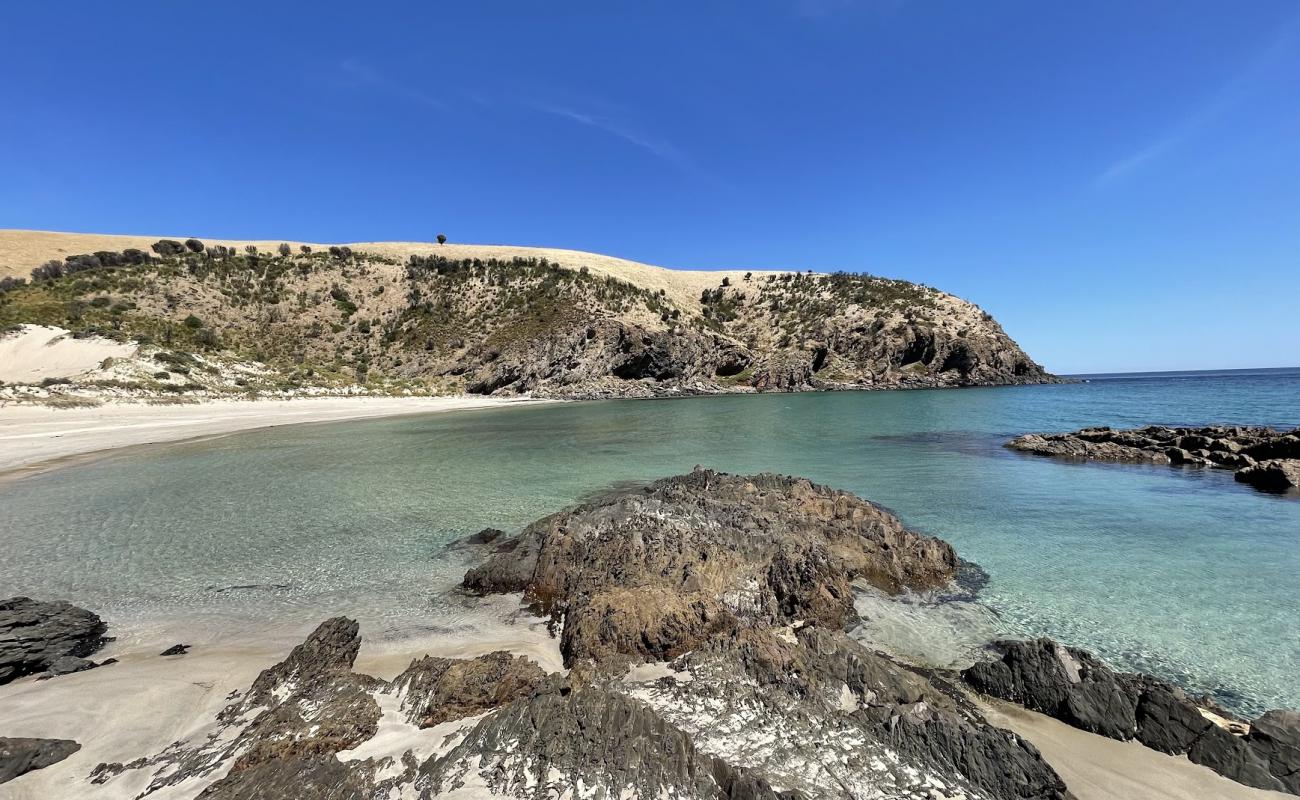 Western River Beach'in fotoğrafı parlak kum yüzey ile