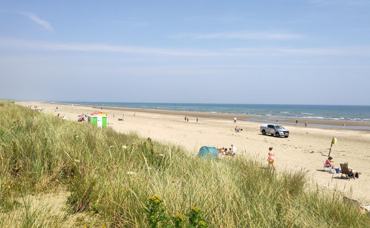 Bettystown Beach'in fotoğrafı parlak kum yüzey ile