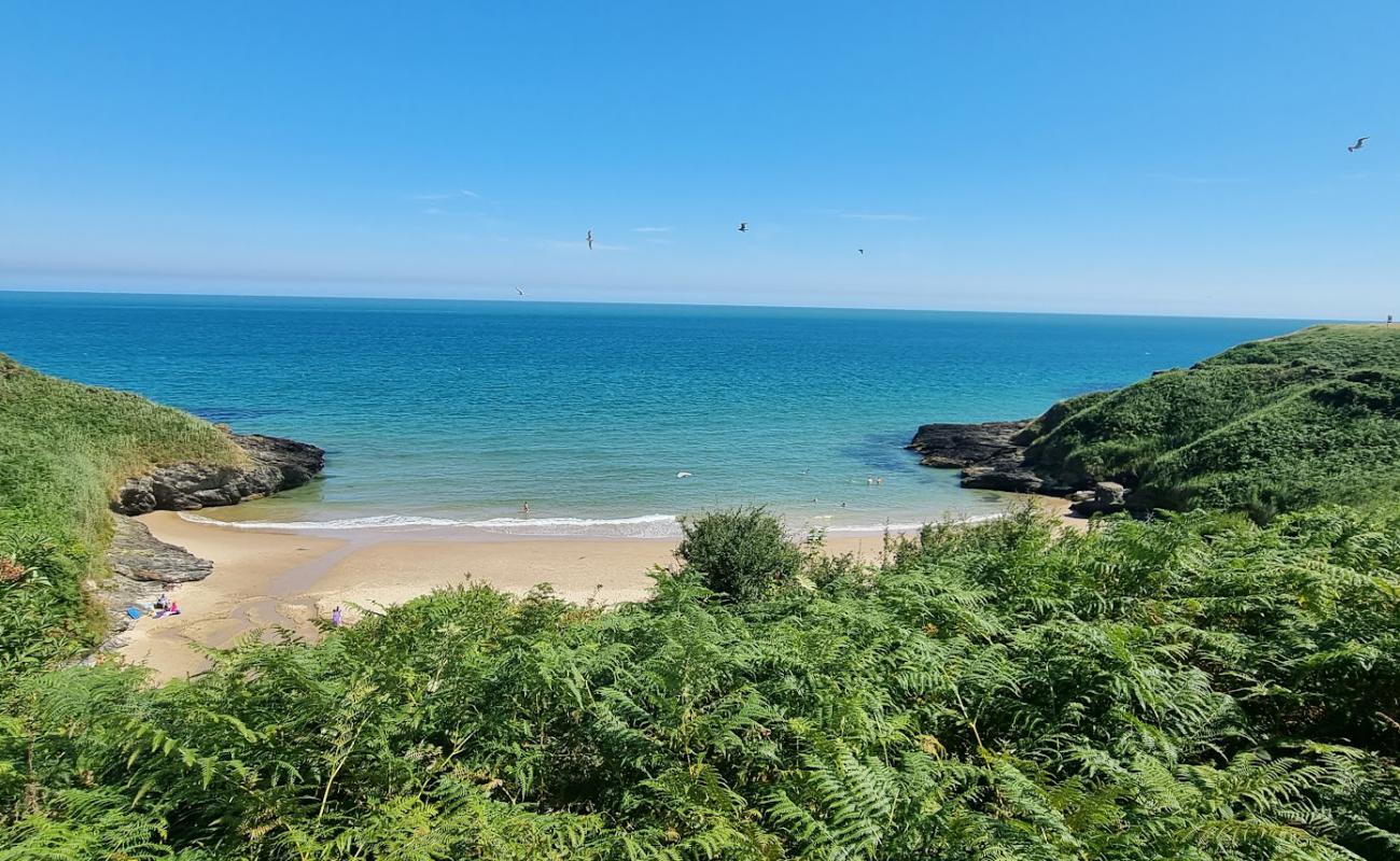 Blainroe Beach'in fotoğrafı parlak ince kum yüzey ile