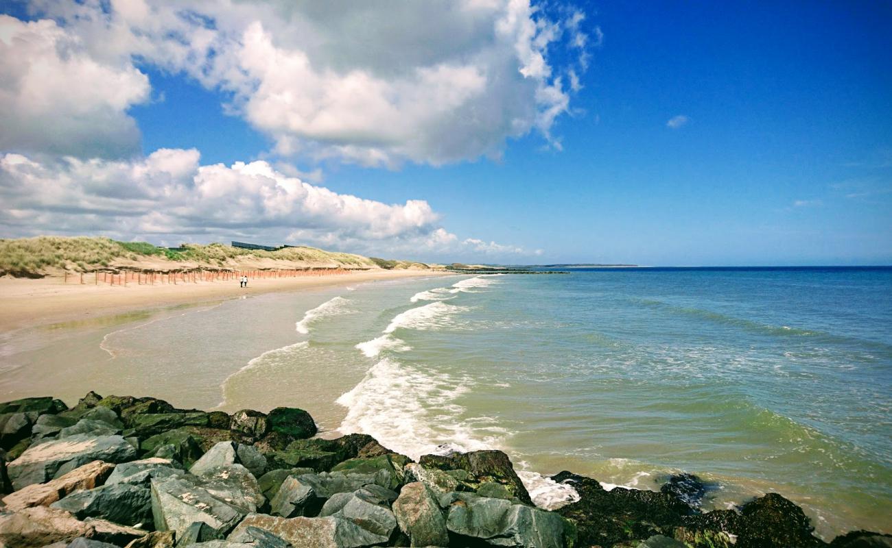 Rosslare Beach'in fotoğrafı parlak kum yüzey ile