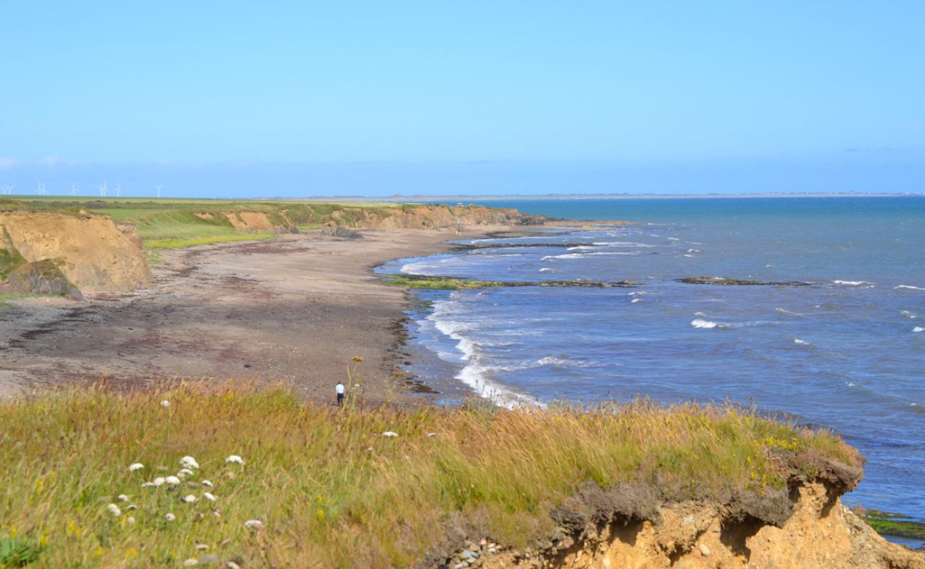 Blackhall Beach'in fotoğrafı bej kum ve çakıl yüzey ile