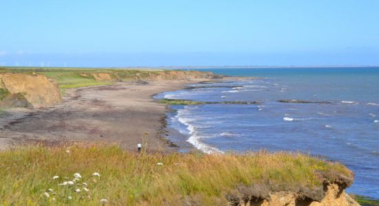 Blackhall Beach