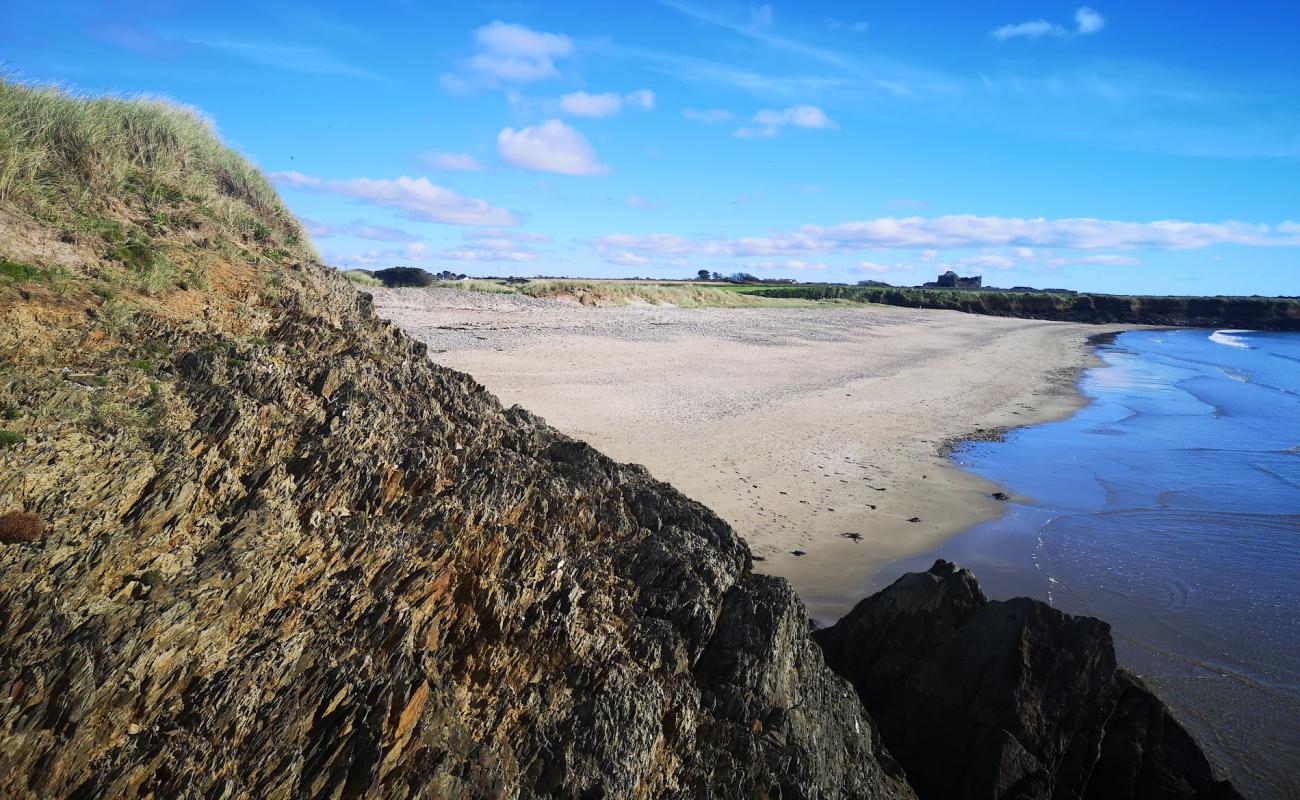 Bannow Island Beach'in fotoğrafı bej kum ve çakıl yüzey ile