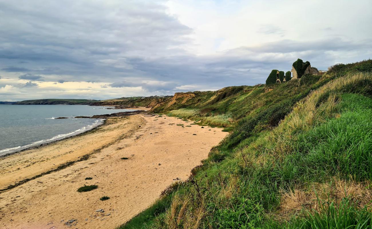 Boyce's Bay Beach'in fotoğrafı parlak kum yüzey ile