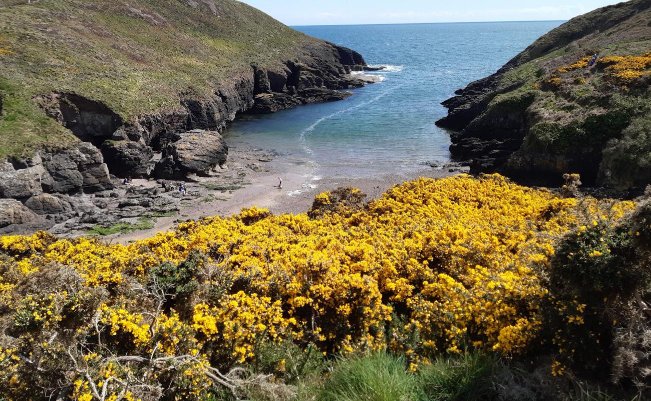 Portally Cove Beach'in fotoğrafı parlak kum ve kayalar yüzey ile