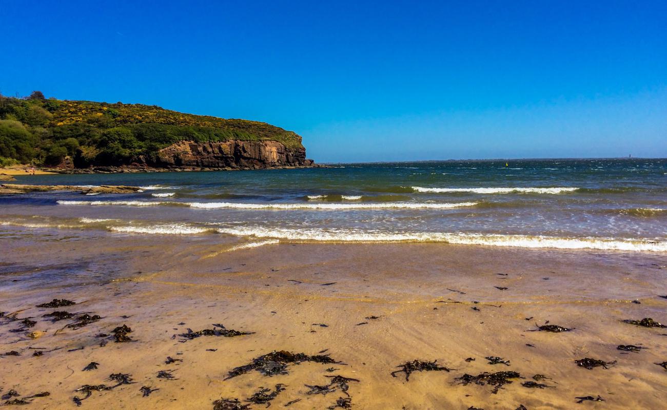 Annestown Beach'in fotoğrafı çakıl ile kum yüzey ile