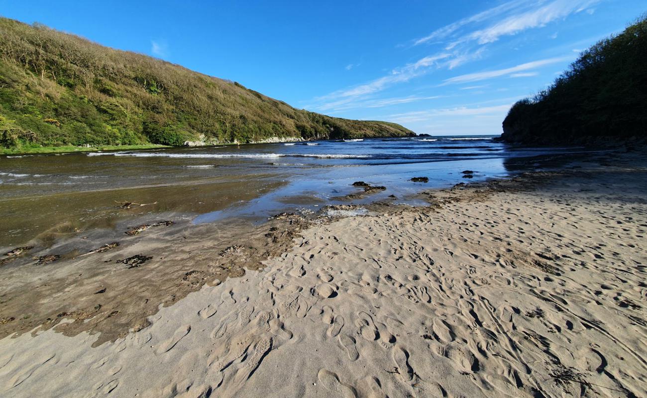 Stradbally Cove Beach'in fotoğrafı çakıl ile kum yüzey ile