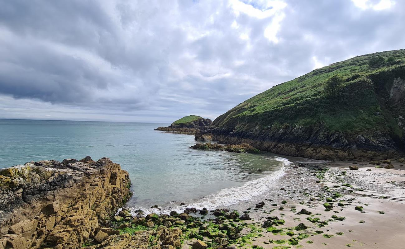 Helvick Bay Beach'in fotoğrafı bej kum ve çakıl yüzey ile