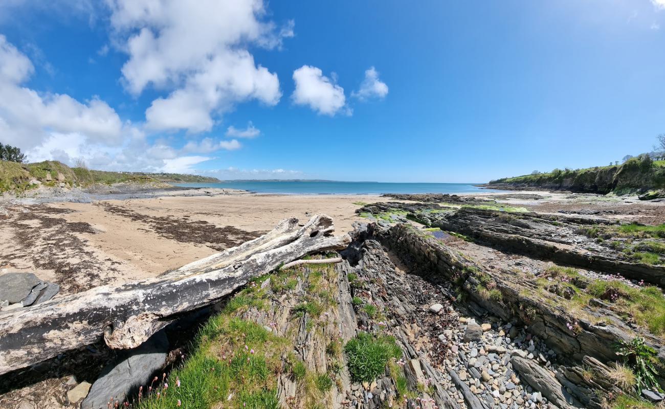 Ringabella Bay Beach'in fotoğrafı parlak kum ve kayalar yüzey ile