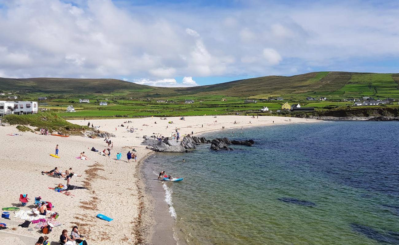 Ballydonegan Beach'in fotoğrafı parlak kum yüzey ile