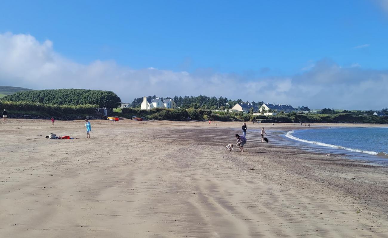 Ballinskelligs Beach'in fotoğrafı parlak kum yüzey ile