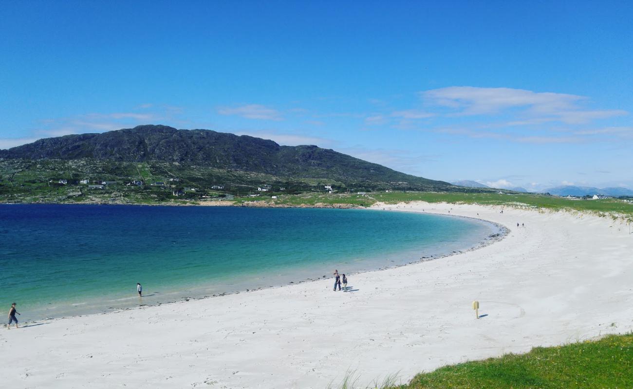 Dogs Bay Beach'in fotoğrafı beyaz ince kum yüzey ile