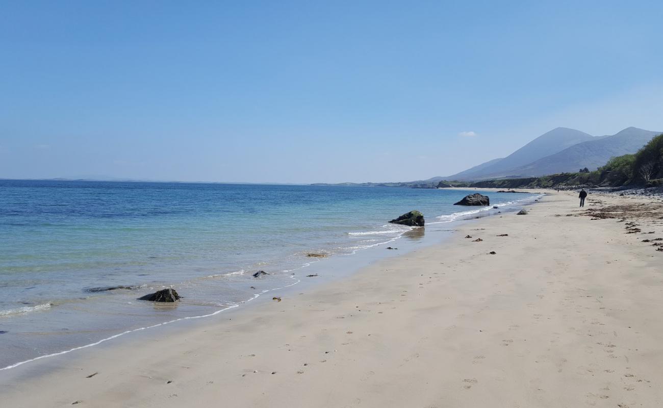 Carrowmore Beach'in fotoğrafı açık bej kum yüzey ile