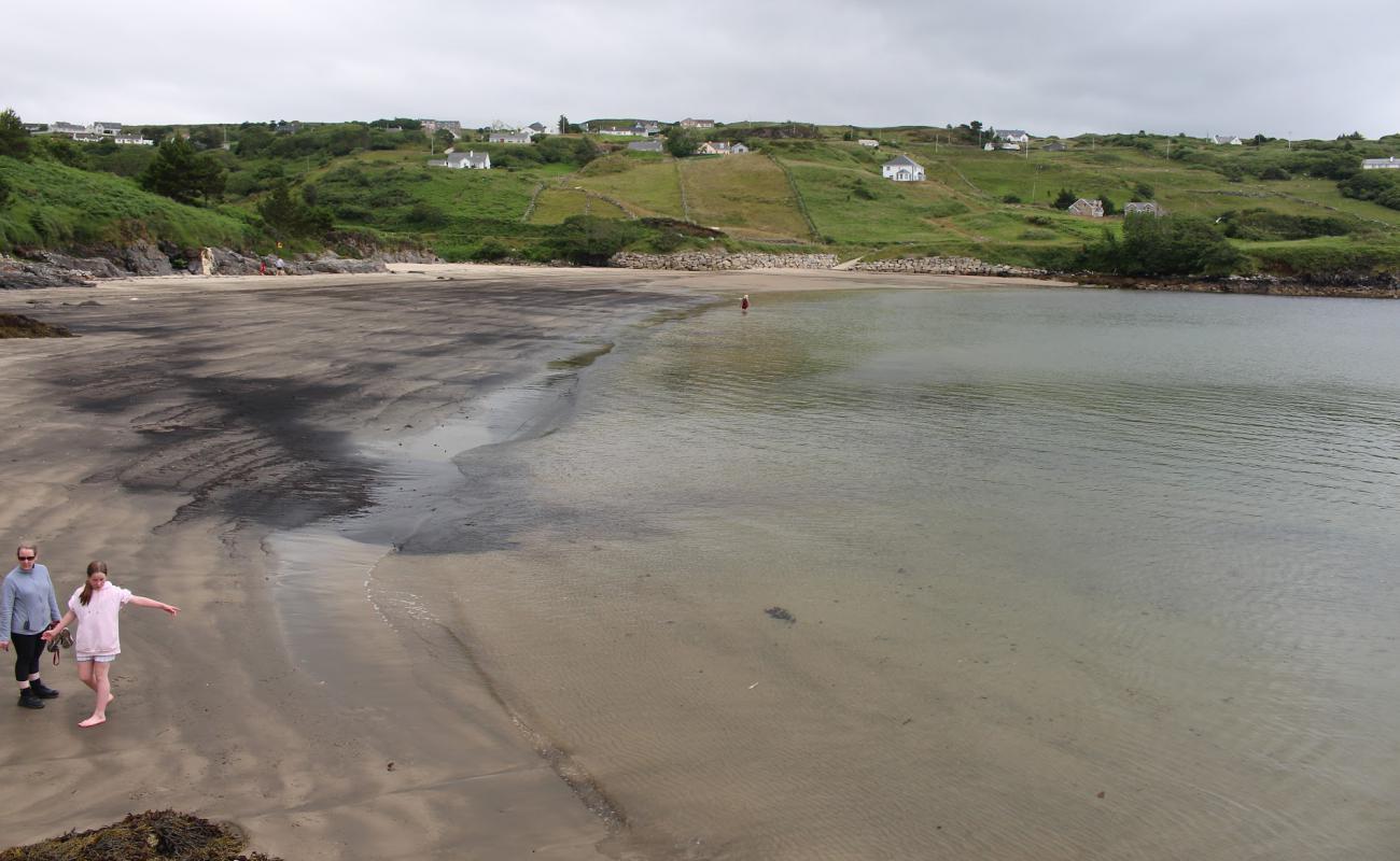 Portacowley Beach'in fotoğrafı açık bej kum yüzey ile