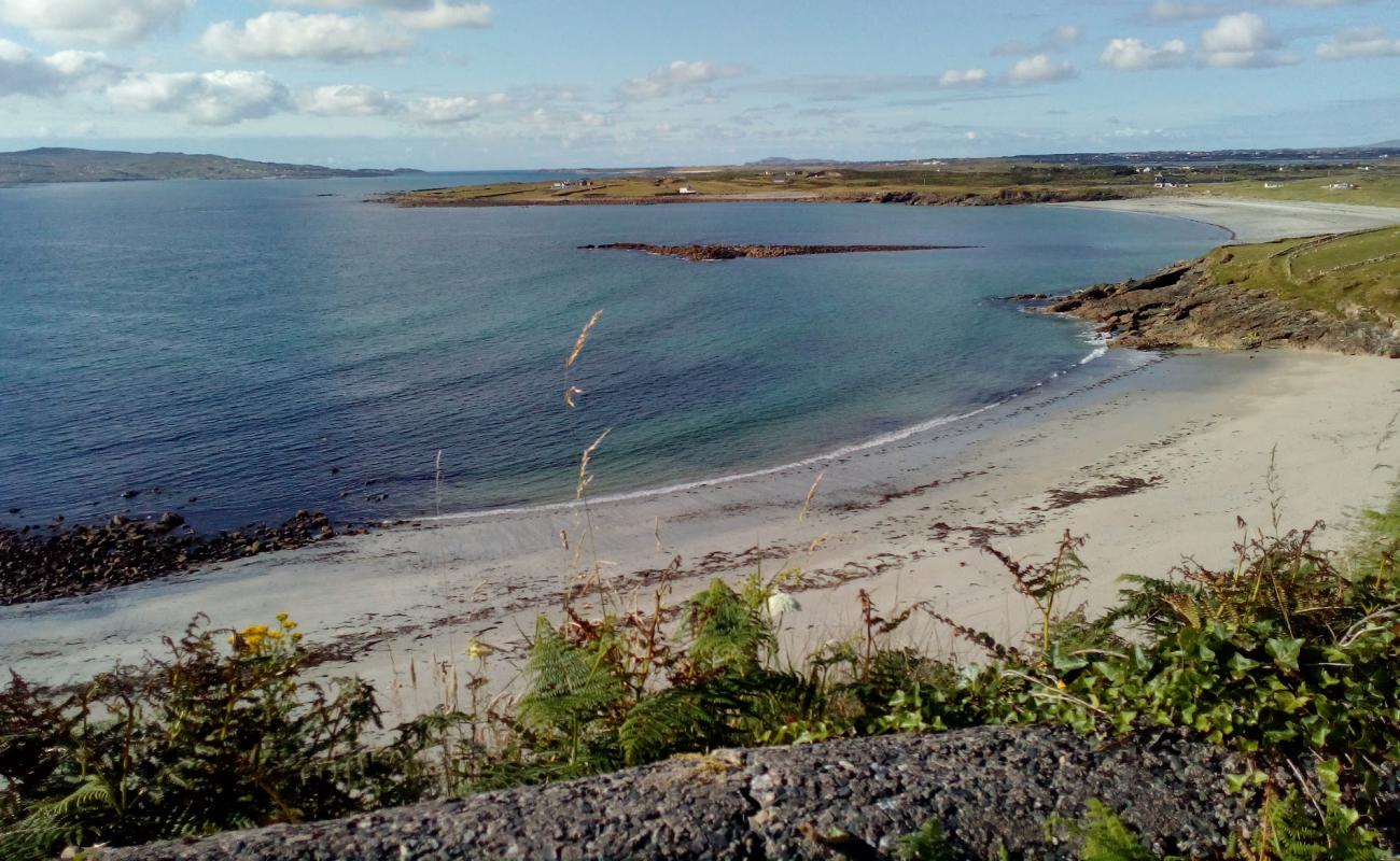 Maghery Beach'in fotoğrafı parlak kum yüzey ile