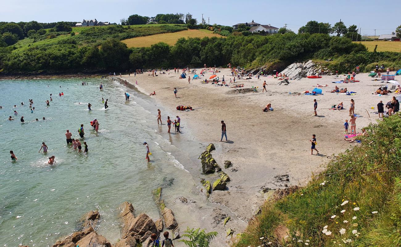 Dock Plajı (Kinsale Plajı)'in fotoğrafı parlak kum yüzey ile