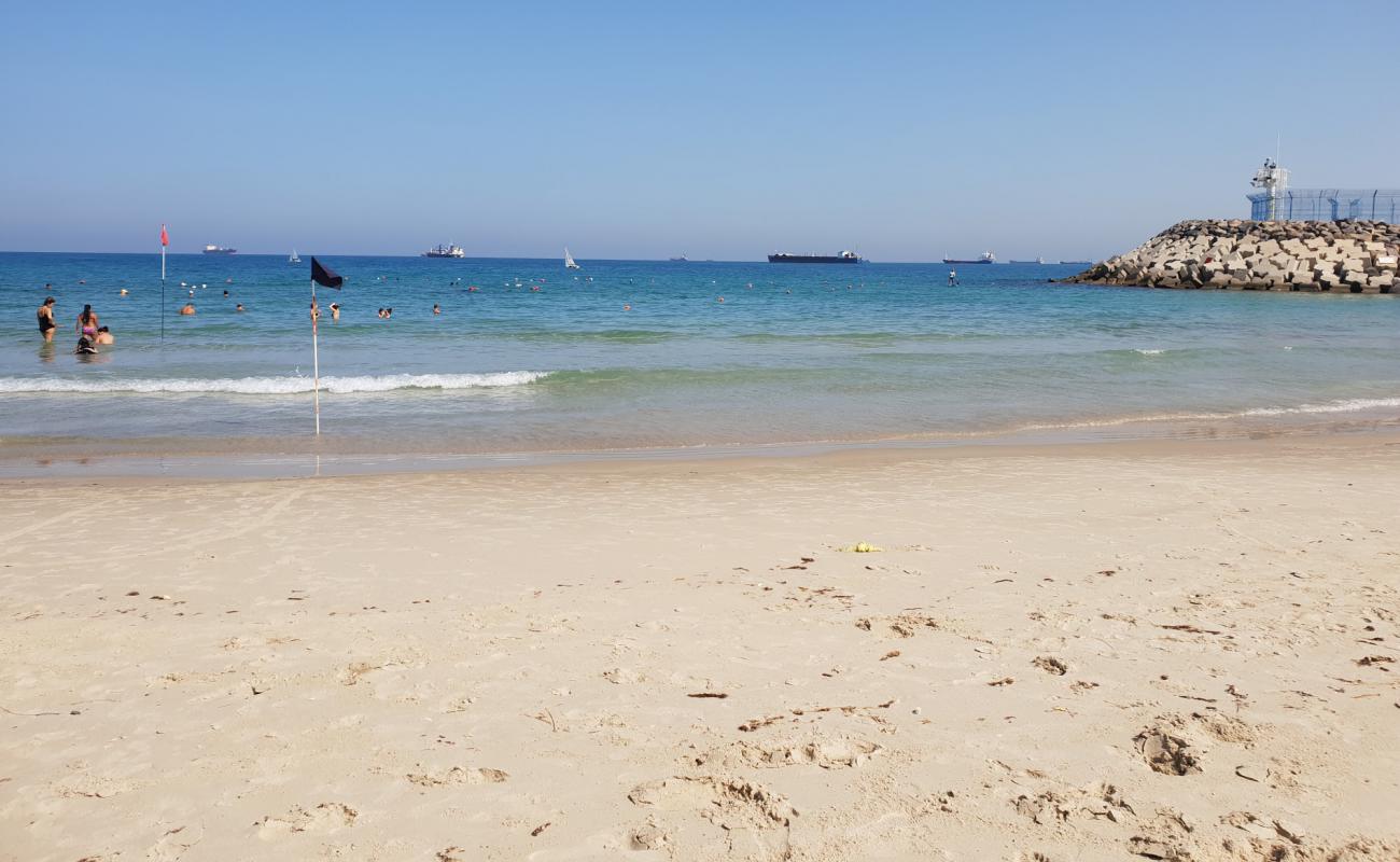 The Quiet beach'in fotoğrafı parlak kum yüzey ile