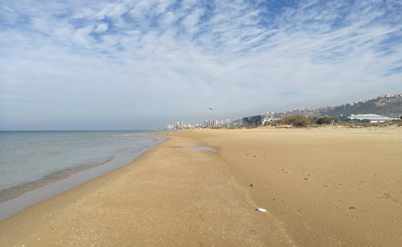 Hof HaCarmel'in fotoğrafı parlak kum yüzey ile