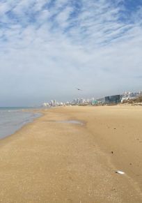Kfar Gallim