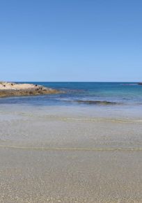 HaBonim