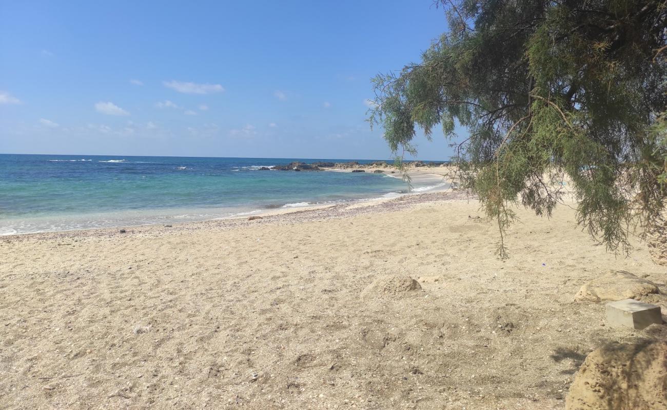 Nachsholim Beach'in fotoğrafı açık bej kum yüzey ile