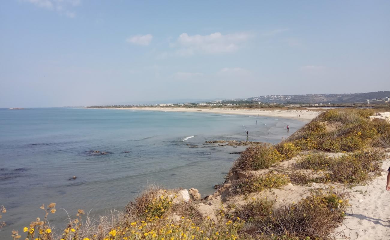 Tel Taninim beach'in fotoğrafı parlak ince kum yüzey ile