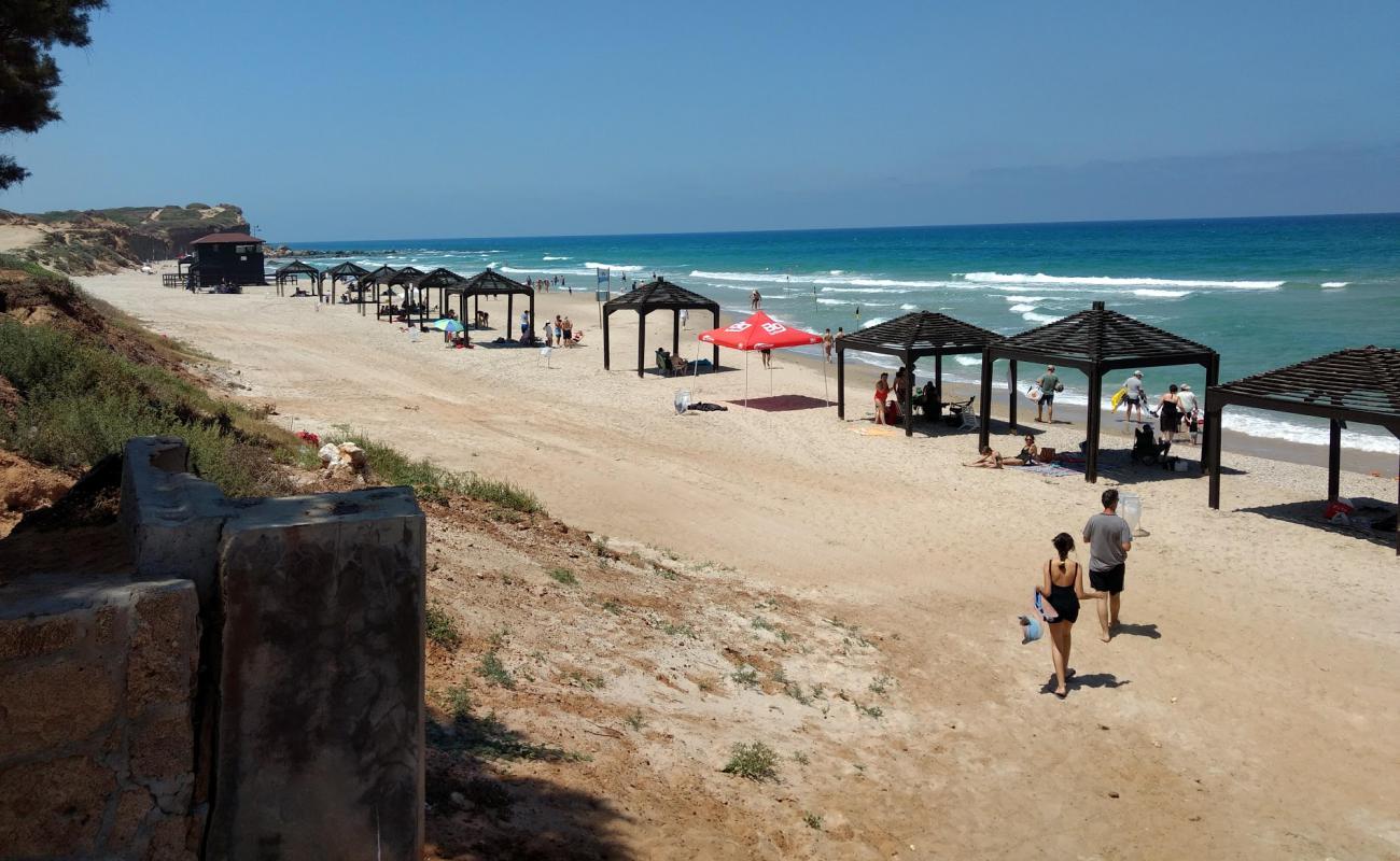 Olga beach'in fotoğrafı açık bej kum yüzey ile