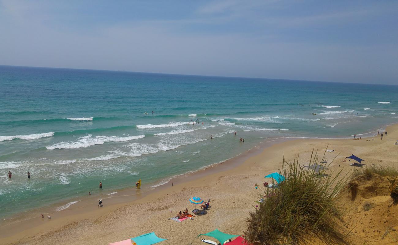 Metzukey Yam beach'in fotoğrafı parlak kum yüzey ile