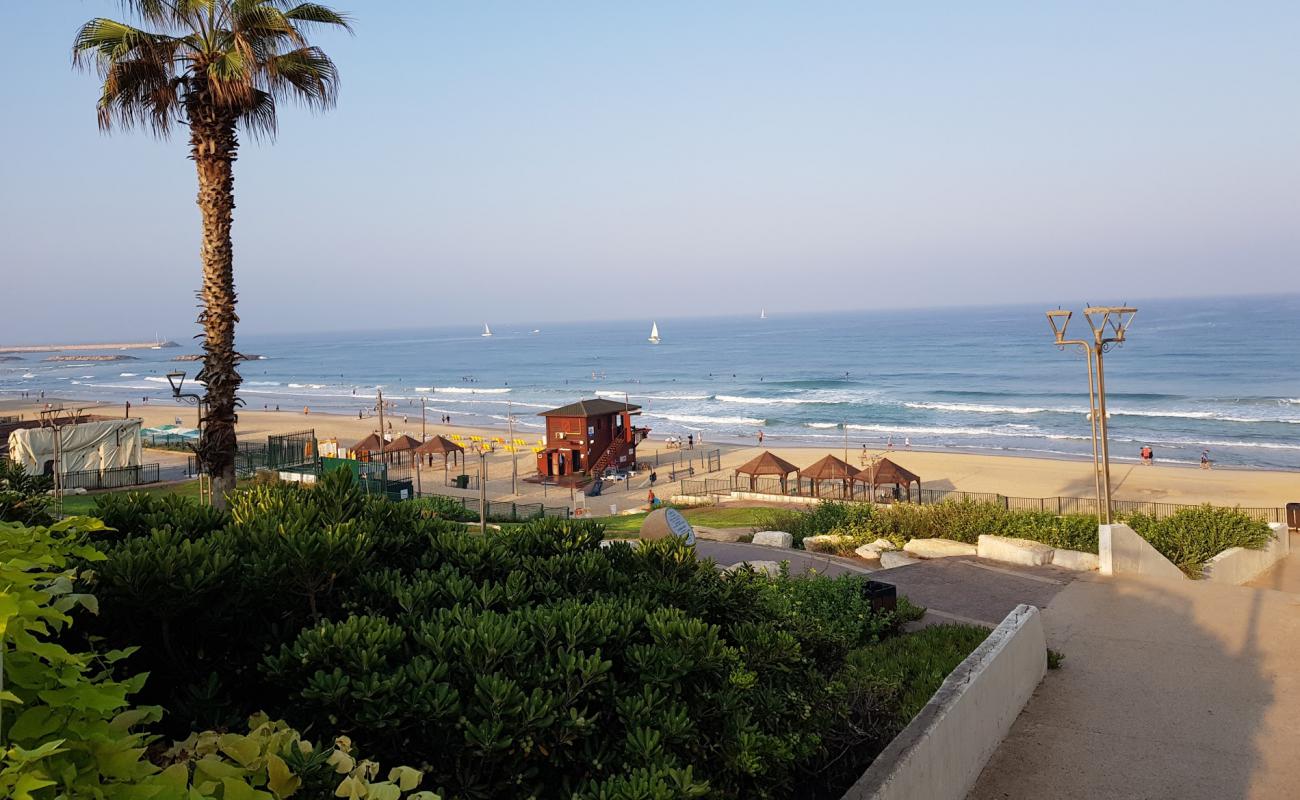 Herzliya beach'in fotoğrafı i̇nce bej kum yüzey ile