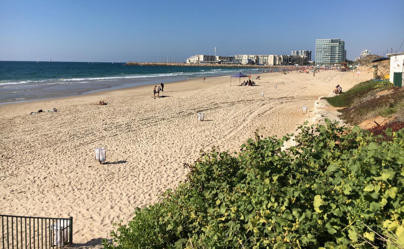 Separated beach'in fotoğrafı i̇nce bej kum yüzey ile