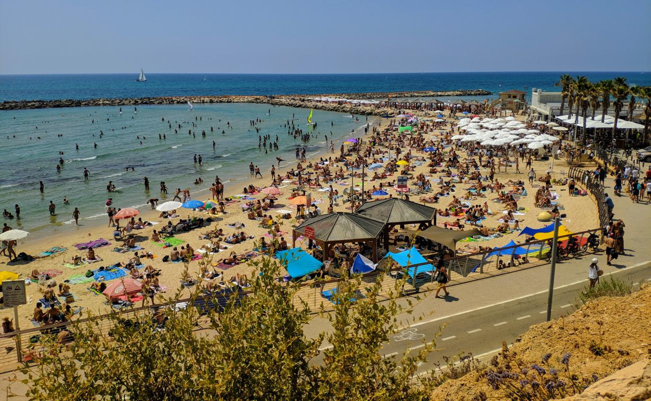 Metsitsim beach'in fotoğrafı parlak ince kum yüzey ile