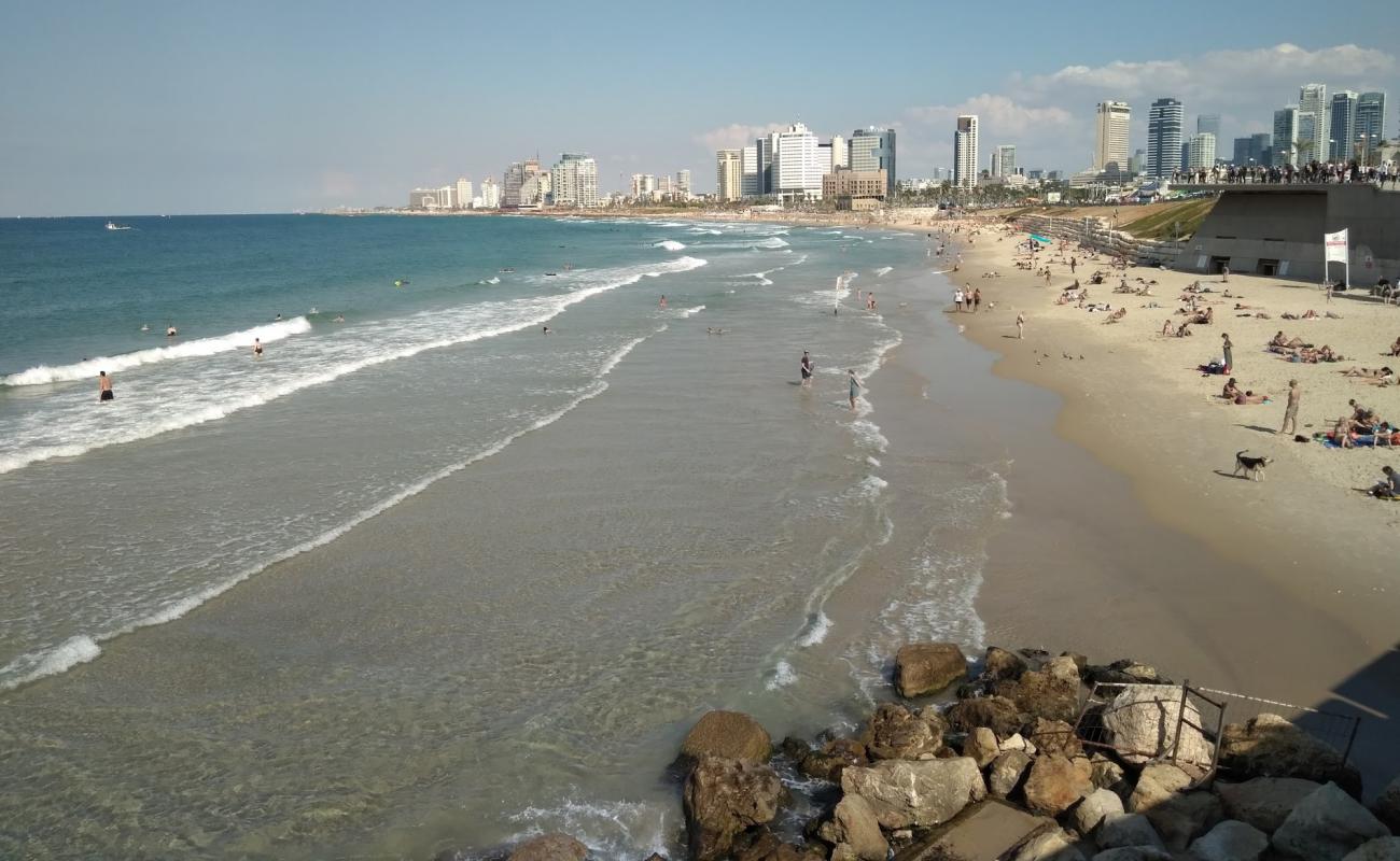 Charles Clore beach'in fotoğrafı parlak ince kum yüzey ile