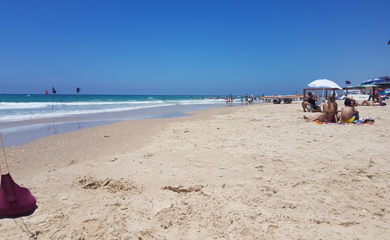 Separated beach'in fotoğrafı parlak ince kum yüzey ile