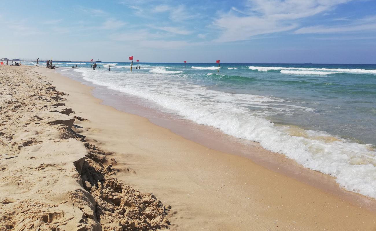 Oranim beach'in fotoğrafı parlak ince kum yüzey ile