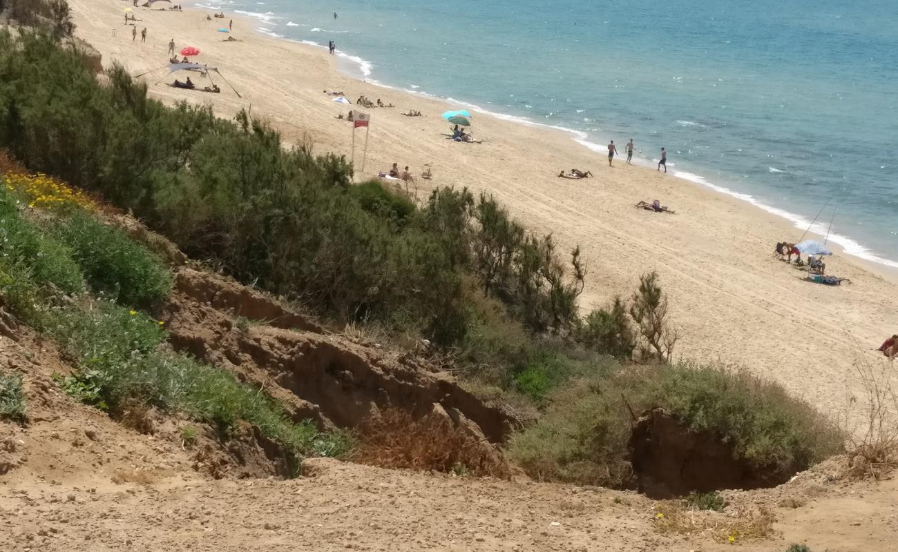 Hofit beach'in fotoğrafı parlak ince kum yüzey ile