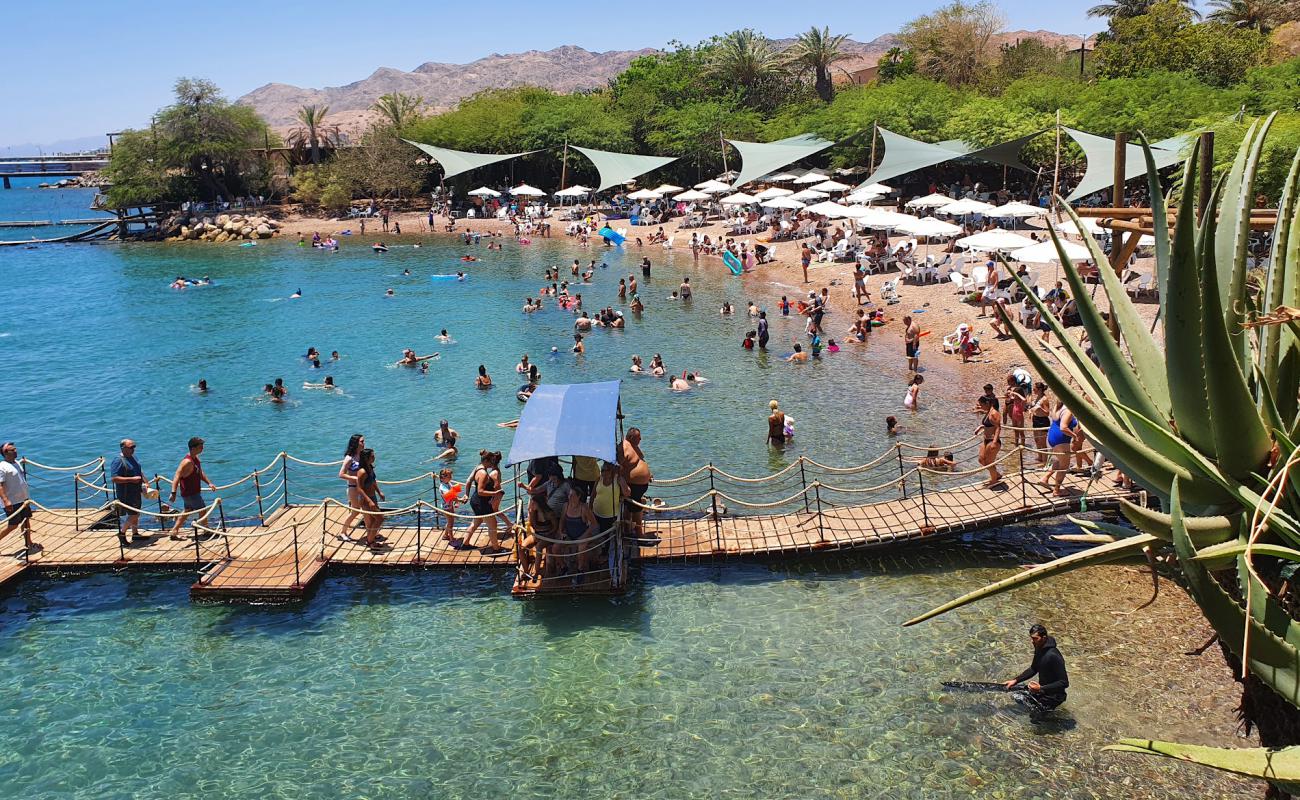 Dolphin Reef Beach'in fotoğrafı parlak kum yüzey ile