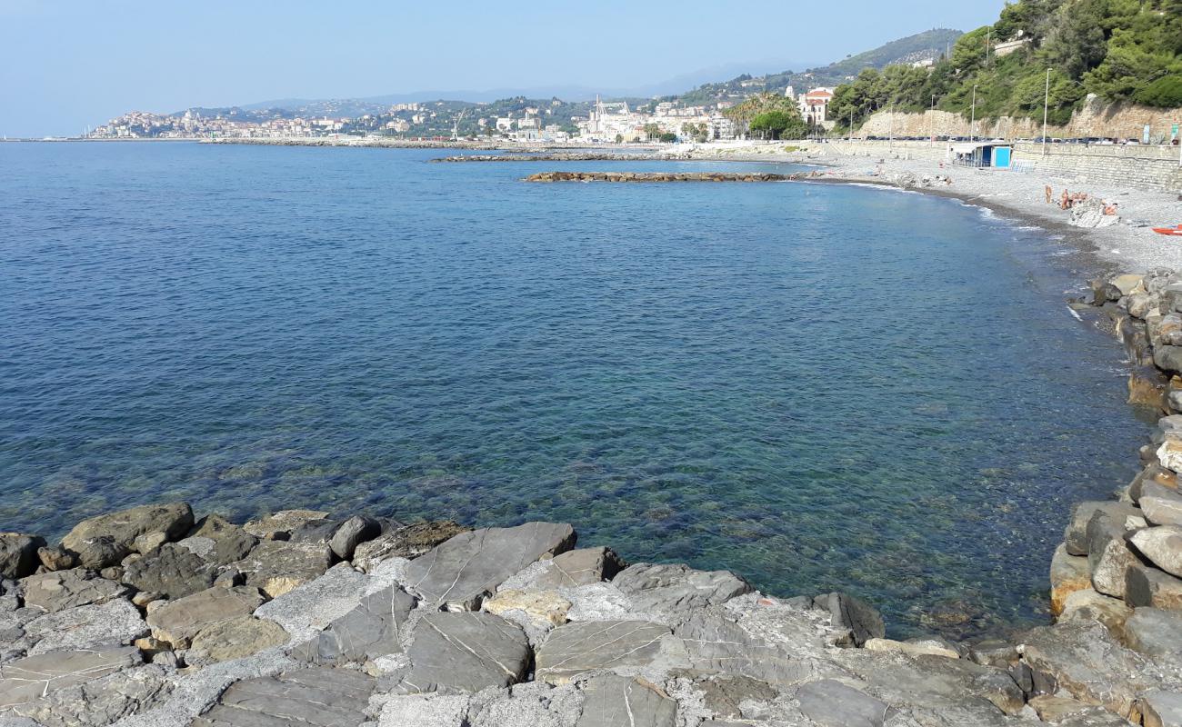 Amica Dog Beach'in fotoğrafı gri çakıl taşı yüzey ile