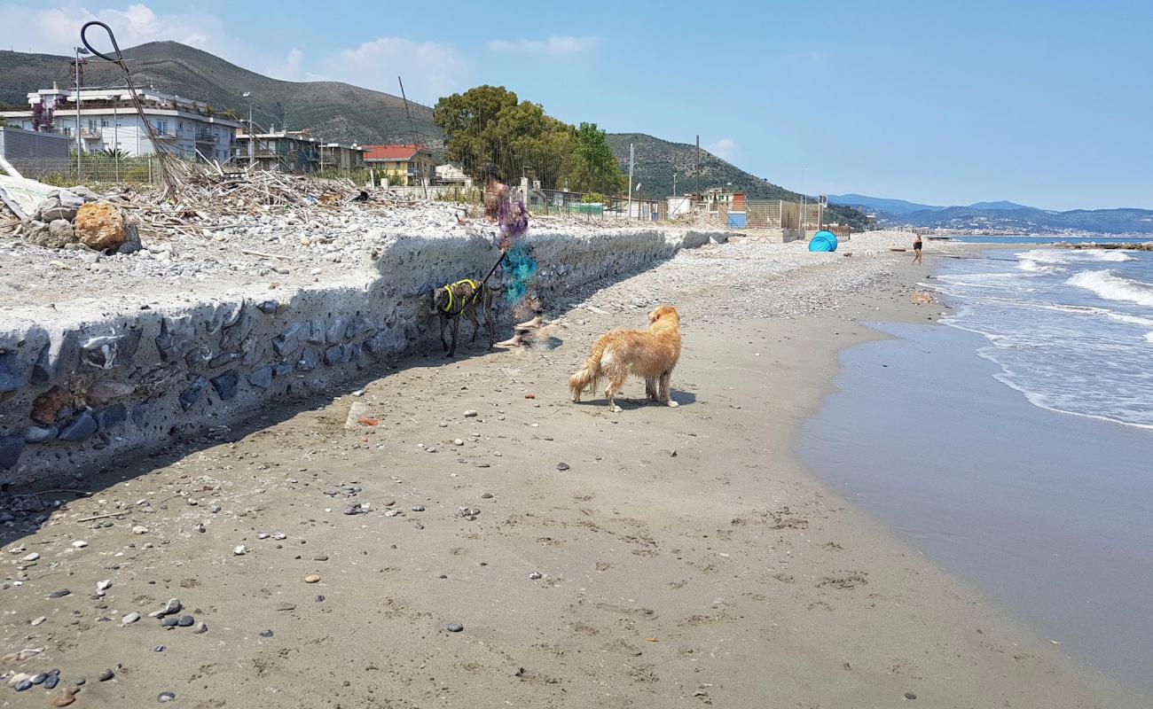 Ceriale dog beach'in fotoğrafı siyah kum ve çakıl yüzey ile