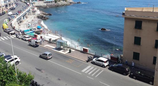 Barracuda Beach